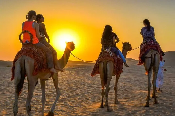 Agadir Sunset Camel Ride with Barbecue |